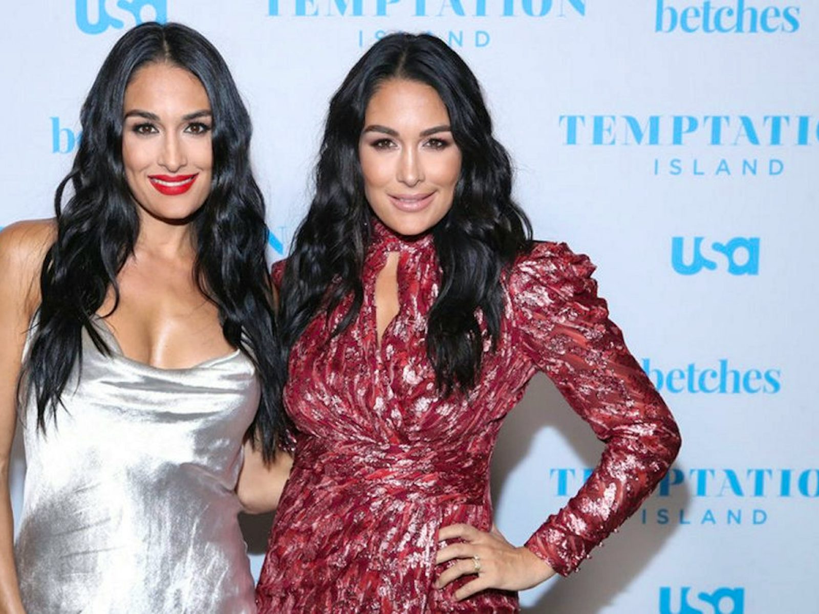 Nikki Bella And Brie Bella Reveal Theyre Both Pregnant And Due Less Than Two Weeks Apart 6315